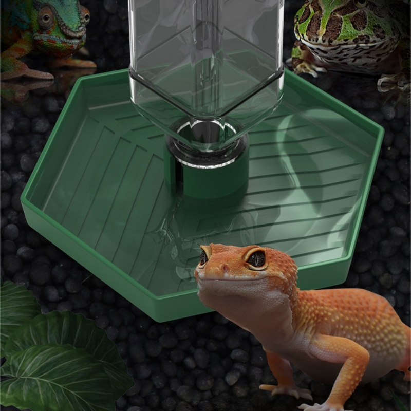 Bebedero automático para Reptiles, bebedero, bebedero, alimentador agua para anfibios 87HA