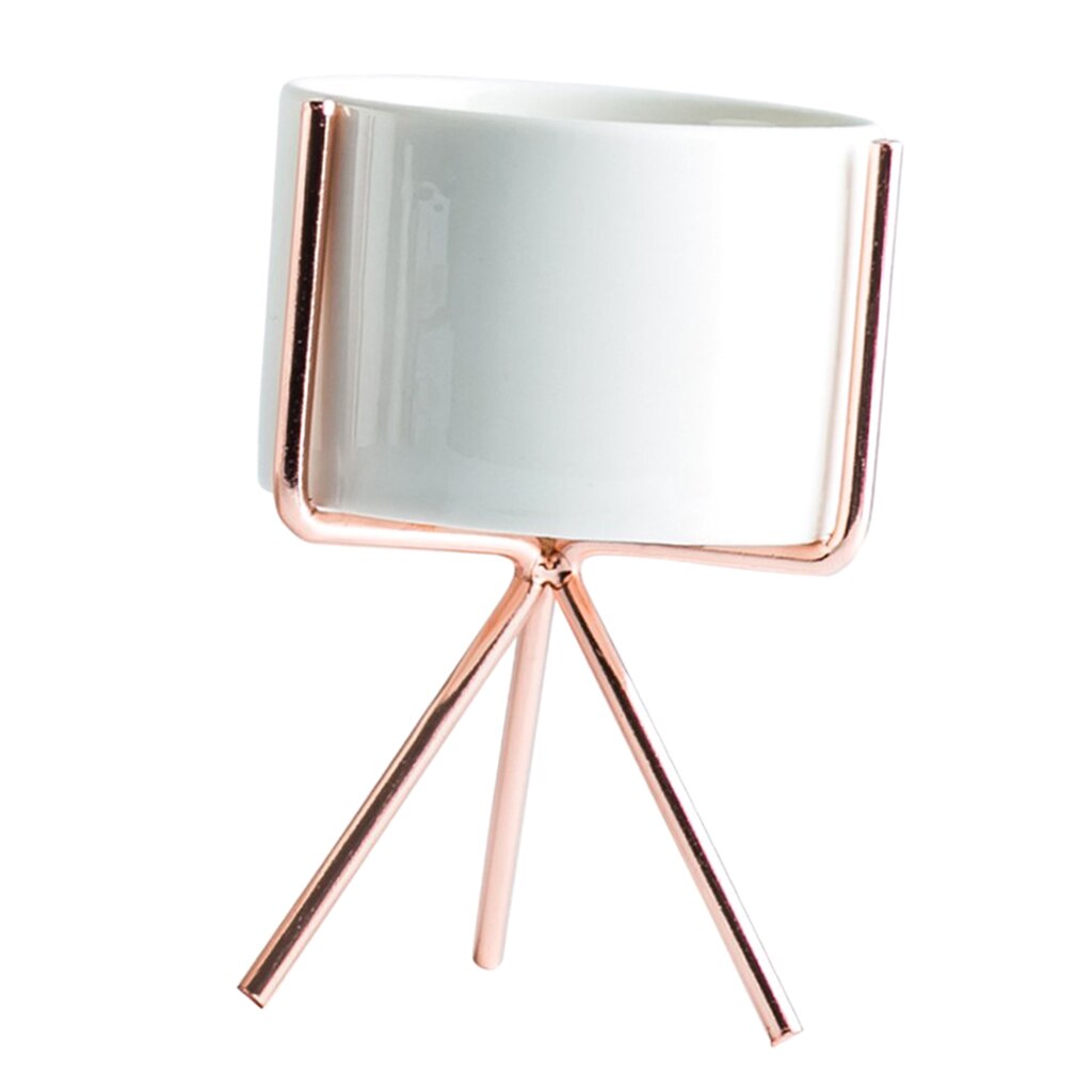 Nordic Stijl Plant Stand Met Bloempot Succulente Planter Rack Holder Inclusief Wit Planten Pot: S-Rose Gold 5.5cm P