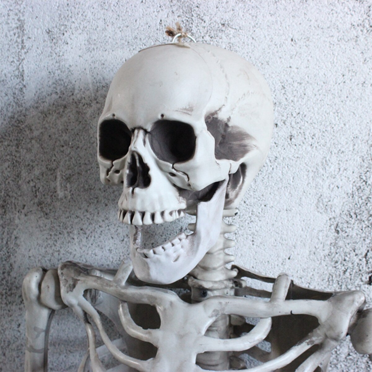 Halloween Menselijk Skelet Model Anatomie Skelet Schedel Partij Decoratie Anatomisch Skelet Horror Art Schets