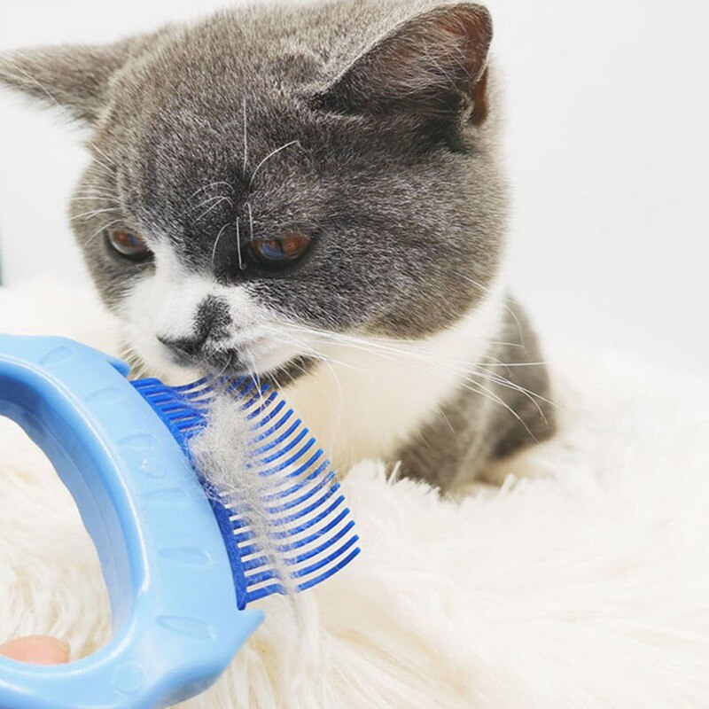 Pet Dog Cat Hair Removal Shell Knot Comb Purple Pi... – Grandado - Cat Hair Knot Removal Sprays