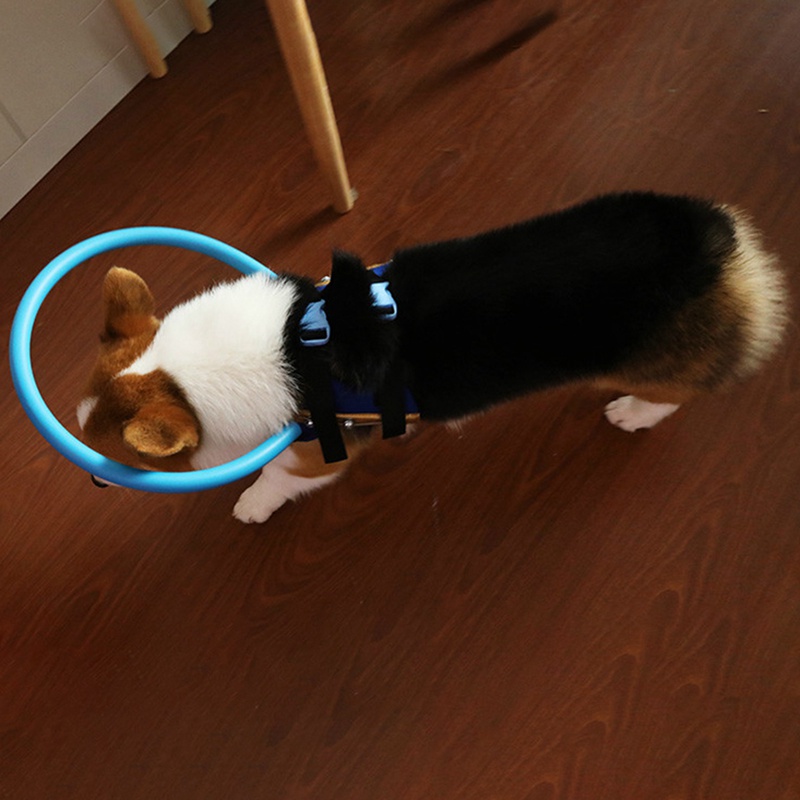 Cieco animale domestico anti-collisione Collare Anello di Imbracatura di Sicurezza per non Vedenti Cani Scorpione Cataratta Animale di Protezione del Cerchio di Guida Del canna NUOVO