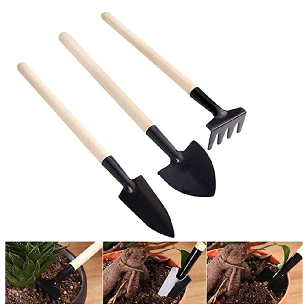 Garden Transplanting Kit Succulent Care Succulent Transplant Tool Accessories Gardening Hand Planting Tools Set Flowers Supplies