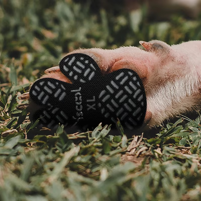 Dog Paw Stickers For Outdoor Walking All Weather Dog Adhesive Foot Pads Disposable Pet Shoes Dog Supplies