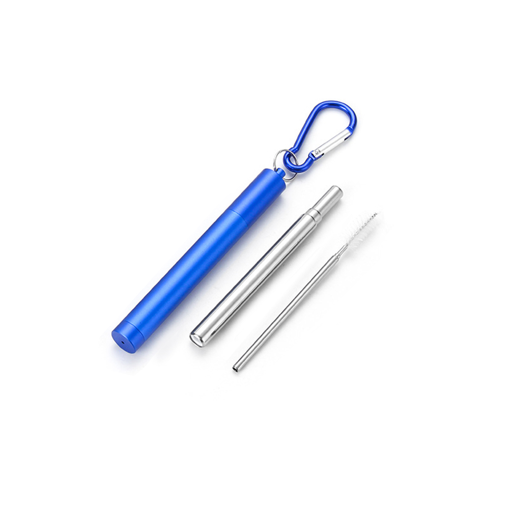 Roestvrij Staal Vouwen Stro Telescopische Rietje Pen Shaped Case Carabiner Herbruikbare Metalen Stro Reizen Picknick Drinkware