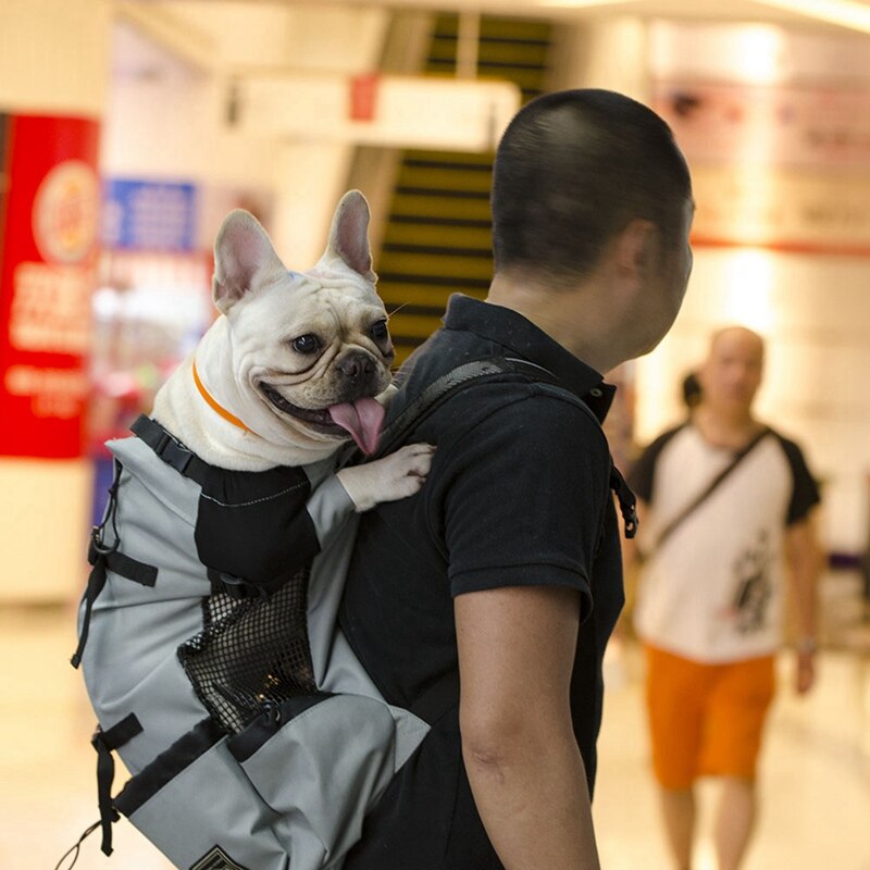 Pet Dog Carrier Bag For Large Dogs Golden Retriever Bulldog Breathable Backpack Adjustable Big Dog Travel Bags Pets Products