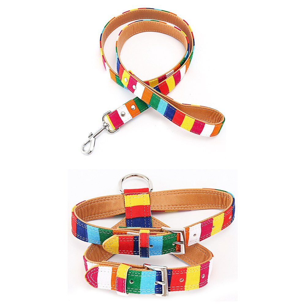 Hondenriem, kleurrijke gestreepte basis hondenriem, halsband voor honden, puppytouw, hondentuigje, chihuahua, kattenriem, huisdieraccessoires  lx0002: Harnas riem set / Zoals foto's