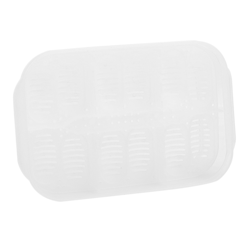 Rectangular Box With Hatching 12 Grids Hatch Box Snake Lizard Reptile Egg Tray B... – Grandado