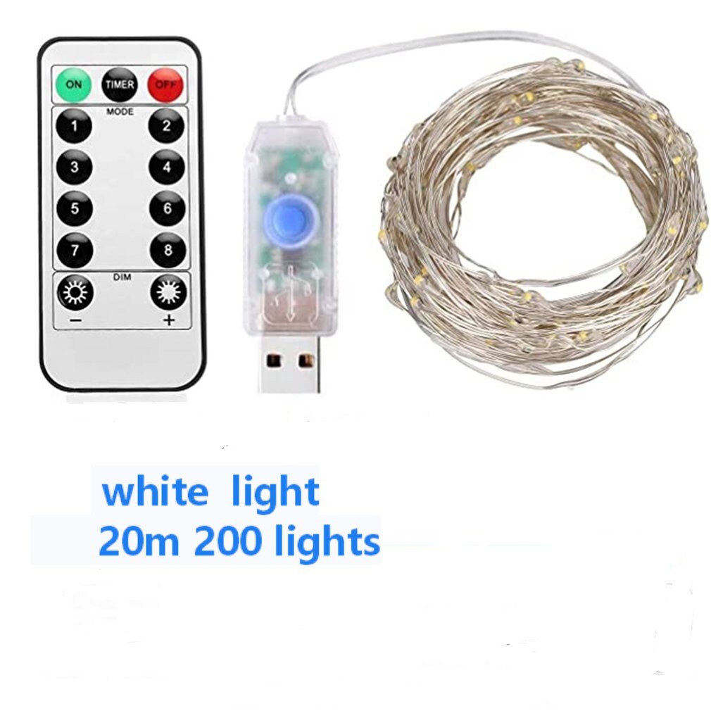 USB LED String Light Remote Control 5M/10M 50/100LED Fairy String Light 20M Copper Wire for Wedding Christmas Decor lamp: 6