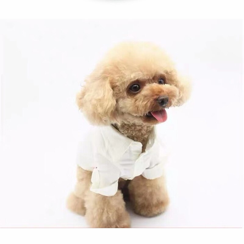 Hondenkleding voor kleine en middelgrote puppy's, jassen, buitenkleding, franse bulldog zlc 12