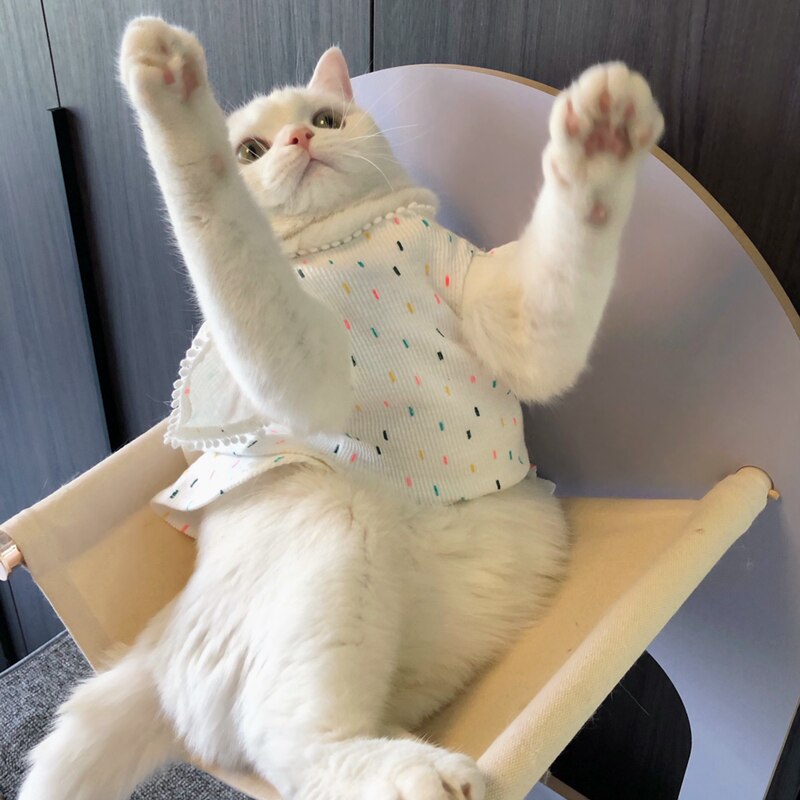 Cat clothes 100% Cotton Dress for Cat