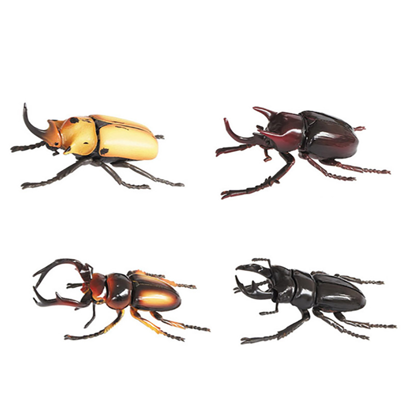 4 stuks Dier Insect Puzzel Educatief Wetenschap Speelgoed voor Kids-24 soorten Insecten: 6666-4H