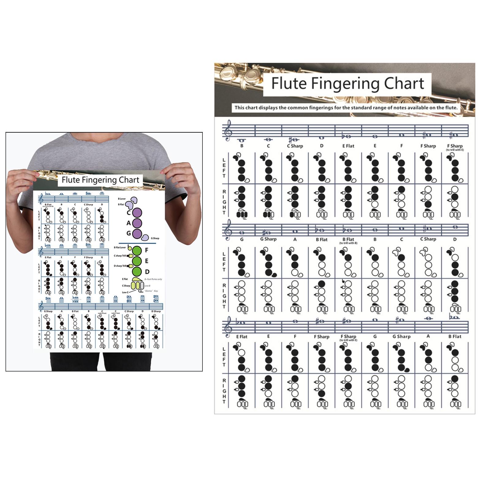 Flute Chart Educational Music Chords Poster for Starter Learning Kids