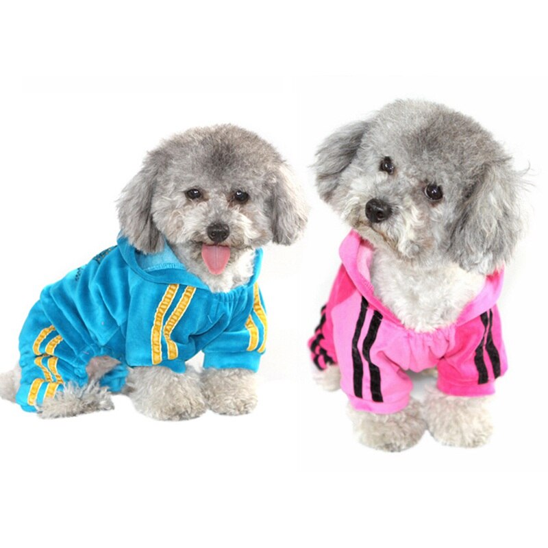 Ropa de perro de terciopelo sudaderas con corona de diamantes de imitación mono de animales de lujo para cachorros de Chihuahua Yorkshire suministros
