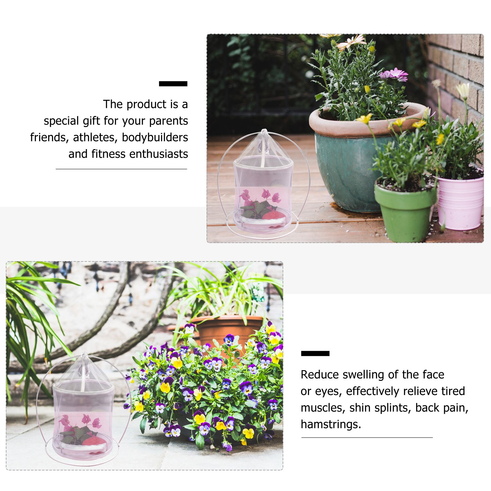 Plant Ornamental Cage Insect Viewing Cage Insect Portable Cage Observation Box For Outdoor