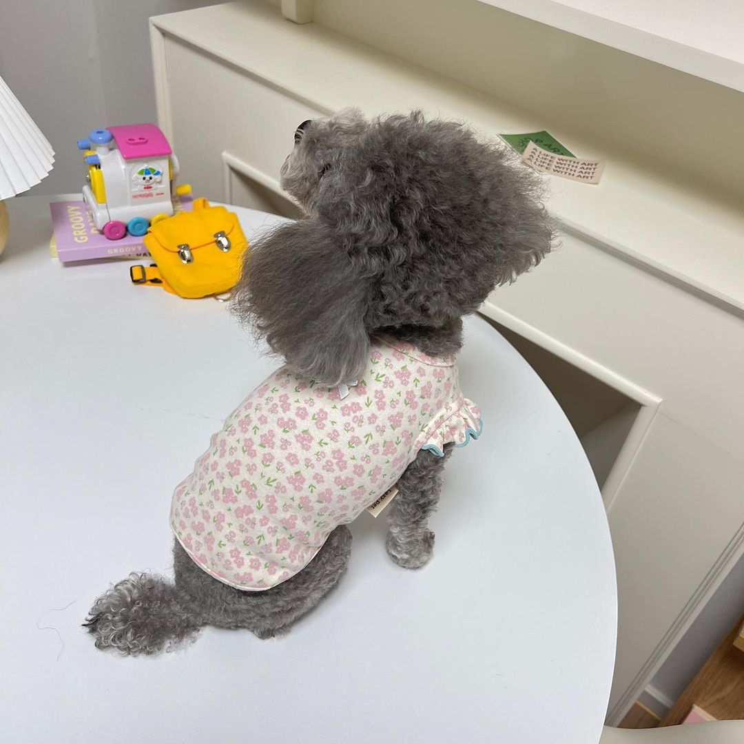 Colete para cães de estimação, roupas de verão para cachorros, fofo, floral, mangas voadoras, camiseta para cães, chihuahua, pug, bichon, gato, cachorro, roupas para meninas
