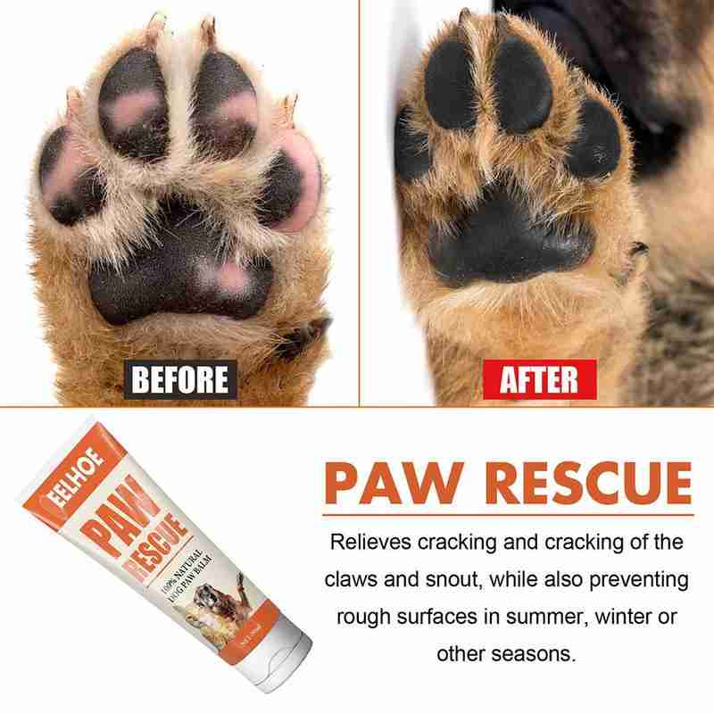 Protect your dogs small paws F4J6