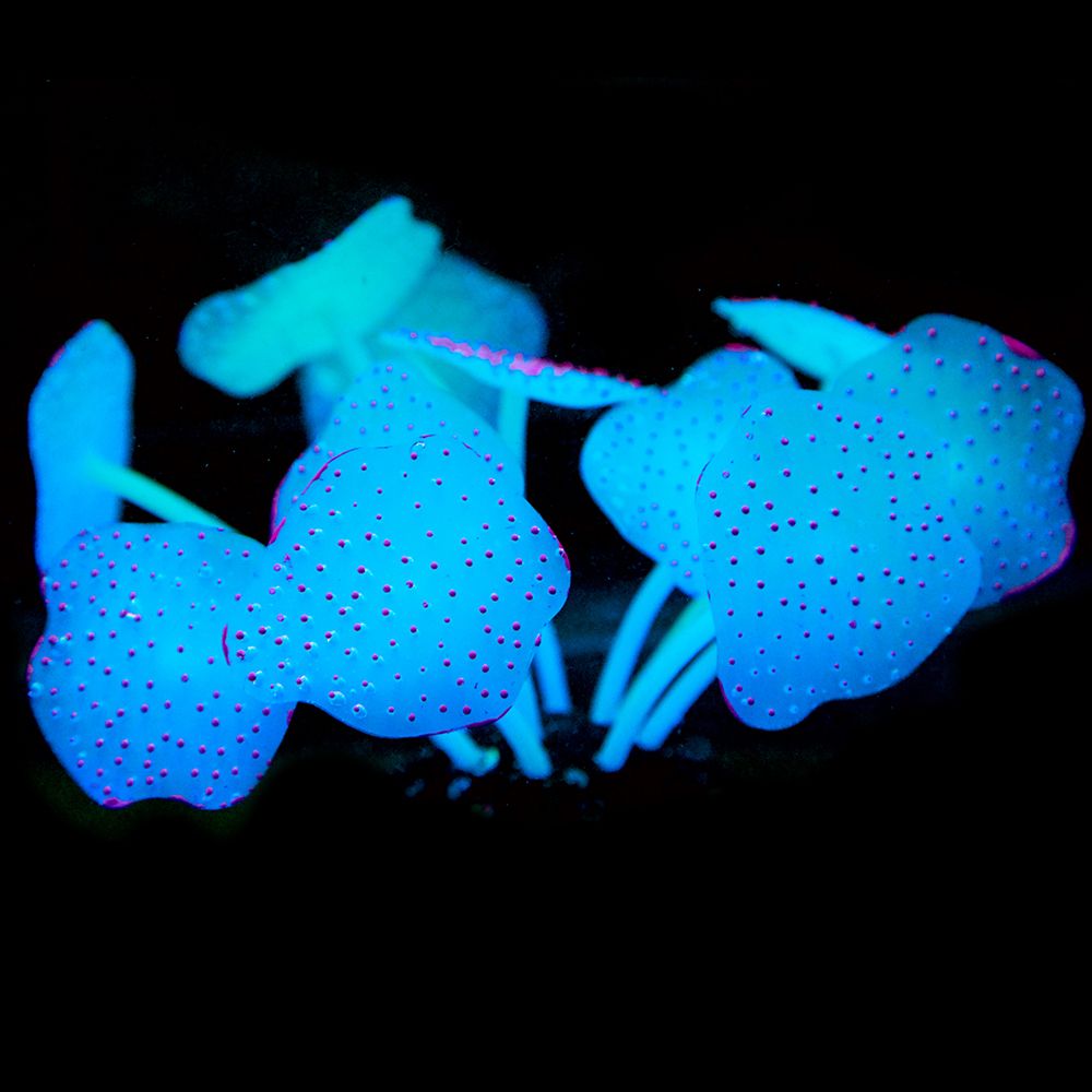 Aankomsten 1 stuks 21cm hoge siliconen kunstmatige vissenkom aquarium koraal plant bloem ornament waterdecoratie huisdecoratie: 15