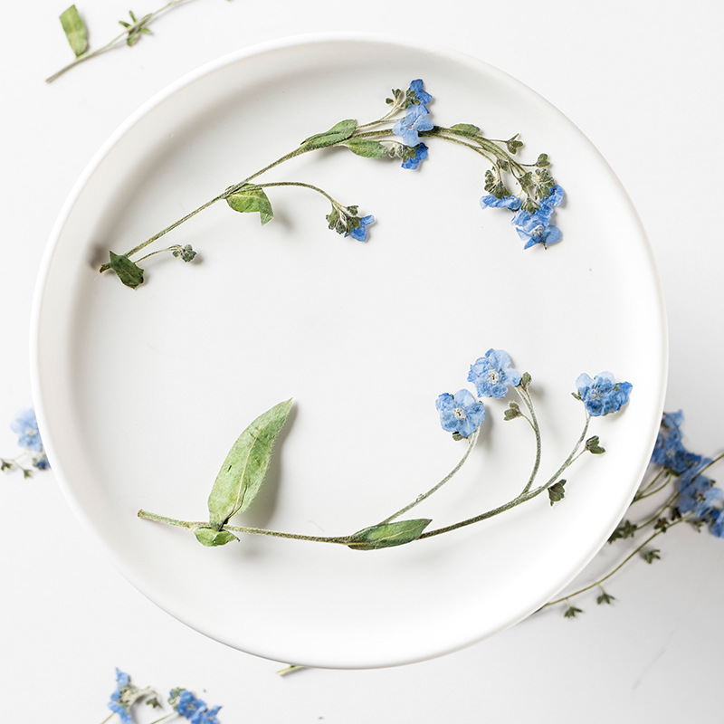 Fleur séchée Myosotis Sylvatica avec tige, goutte à goutte, colle, étui de téléphone portable, fabrication de bijoux, 12 pièces/paquet