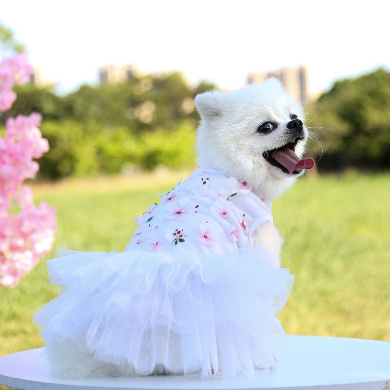 Jupe Style princesse pour chien, vêtements pour animaux de compagnie, à la , pêche, jupe mignonne pour animaux de compagnie: 1 / S