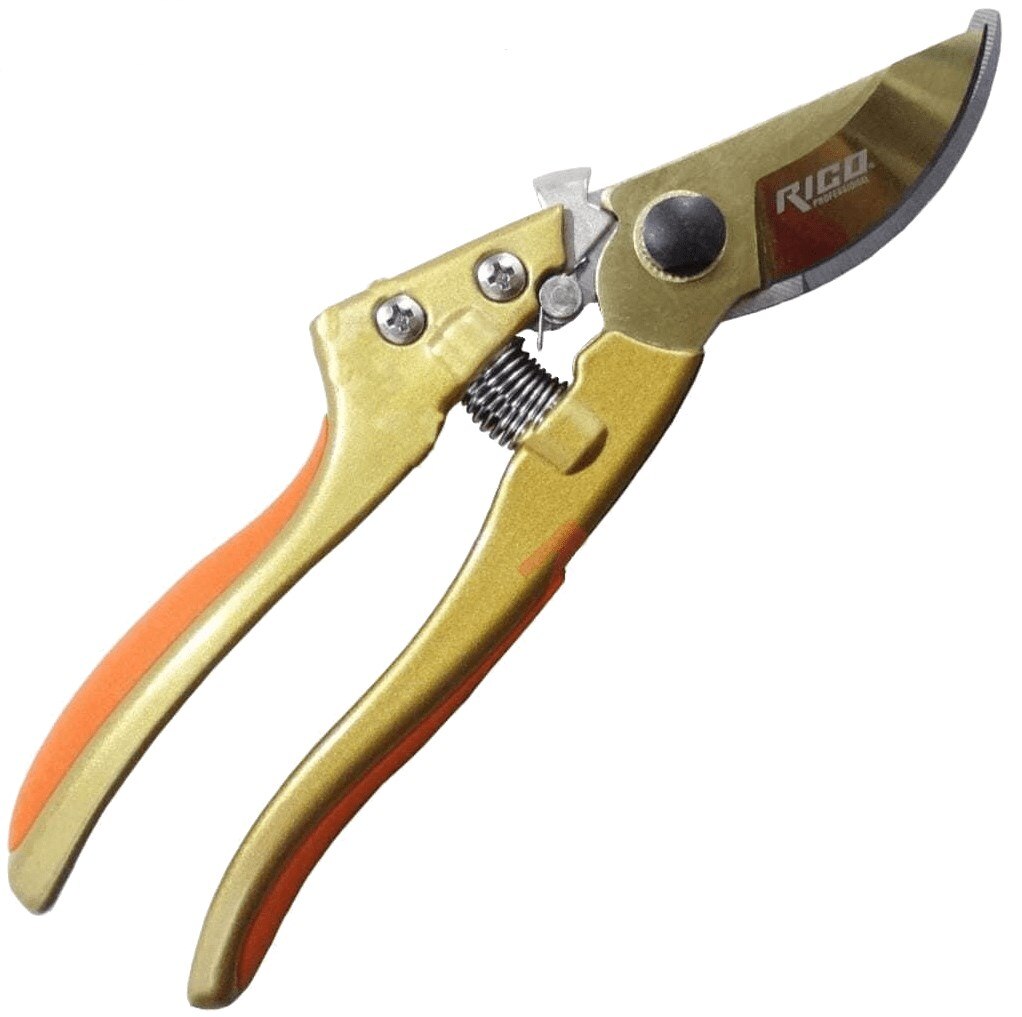 Budam Clipper – Grandado