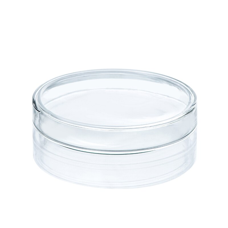 10 stück 75mm Glas Petrischale