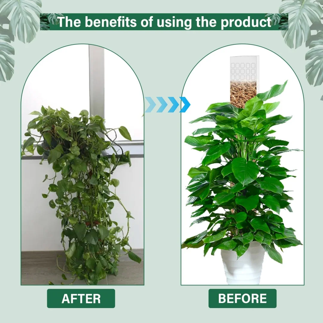 Mosstokken Planten Plastic Transparant Semi-cilindrische Veenmosstokken Holle zelfwater gevende steunstok voor klimplant