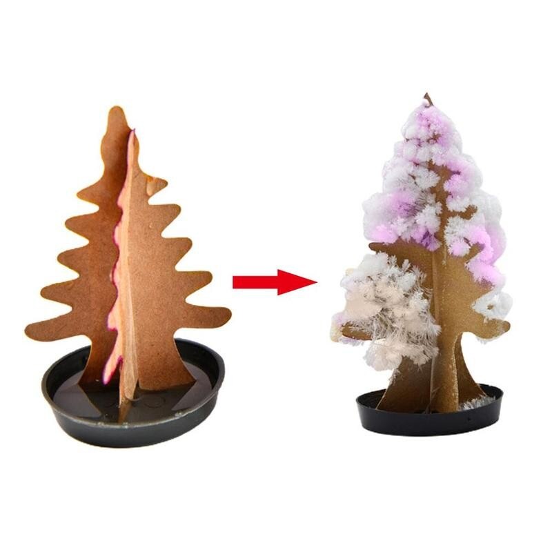 Magical Growing Paper Tree Funny Multicolor Trees Interesting Educational Toys Party Diy Toys Growing Tree