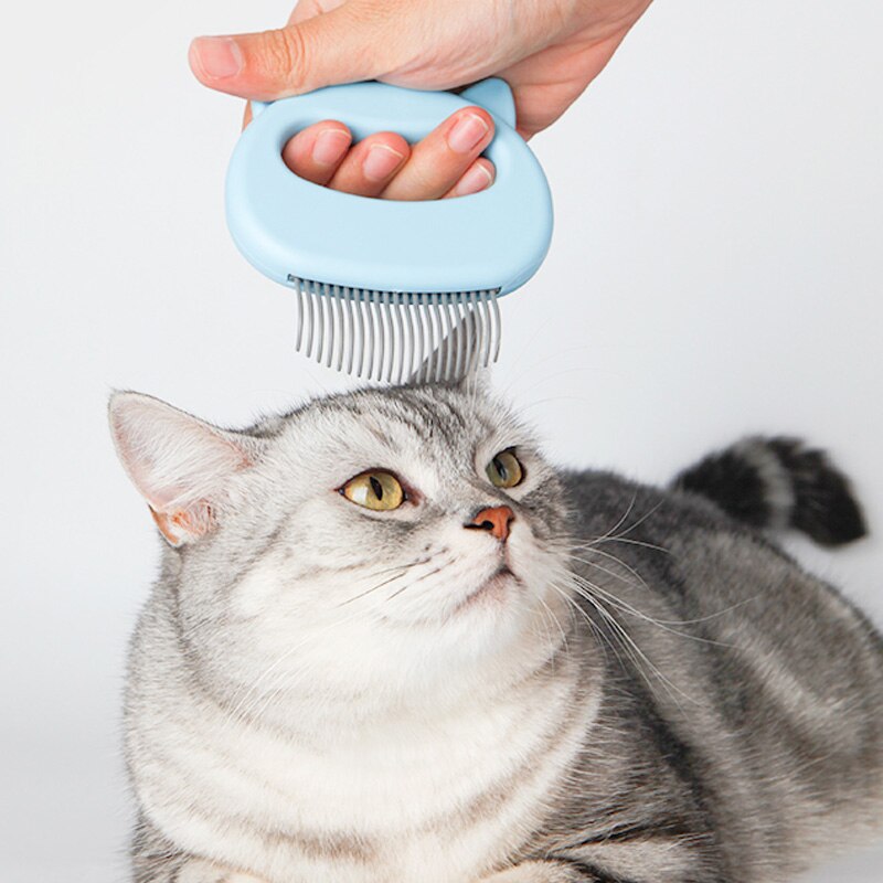 Huisdier Kat Grooming Massage Borstel Draagbare Pet Hair Remover Met Shell Vormige Handvat Haar Remover Pet Grooming Massage Gereedschap