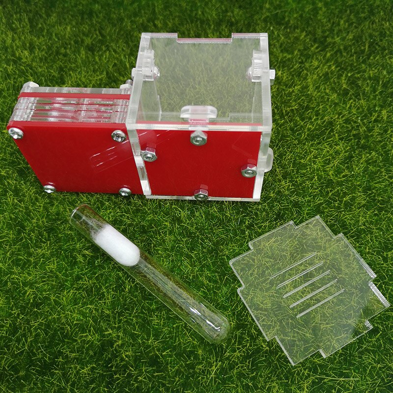 Mini Queen Ant Nest Ant Workshop Acrylic Farm Small Plane Nest Ant Accessories
