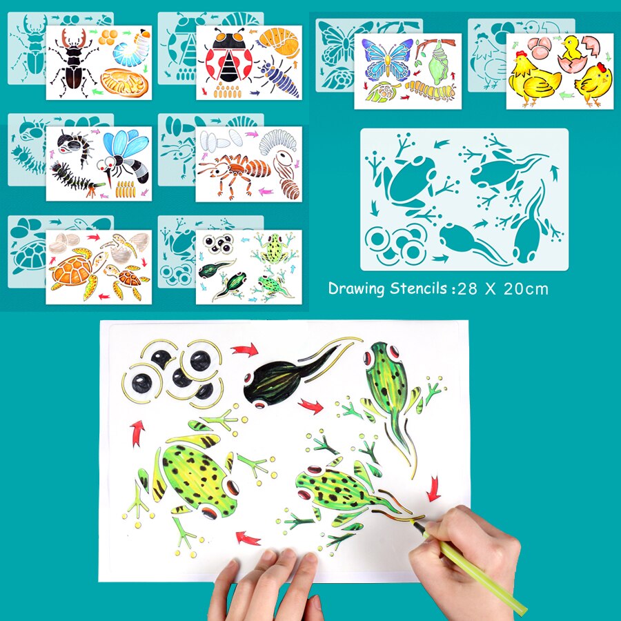 6 Sets Simulation Animal Life Cycle Growth Model Butterfly Frog Turtle Chick Ant Stencils Drawing Board Biology Teaching Tools