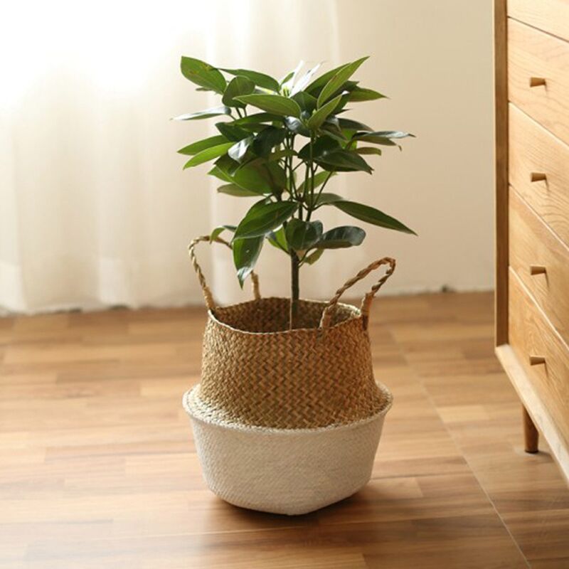 Handmade Woven Storage Basket Folding Clthoes Laundry Basket Straw Wicker Rattan Seagrass Belly Garden Flower Pot Plant Basket