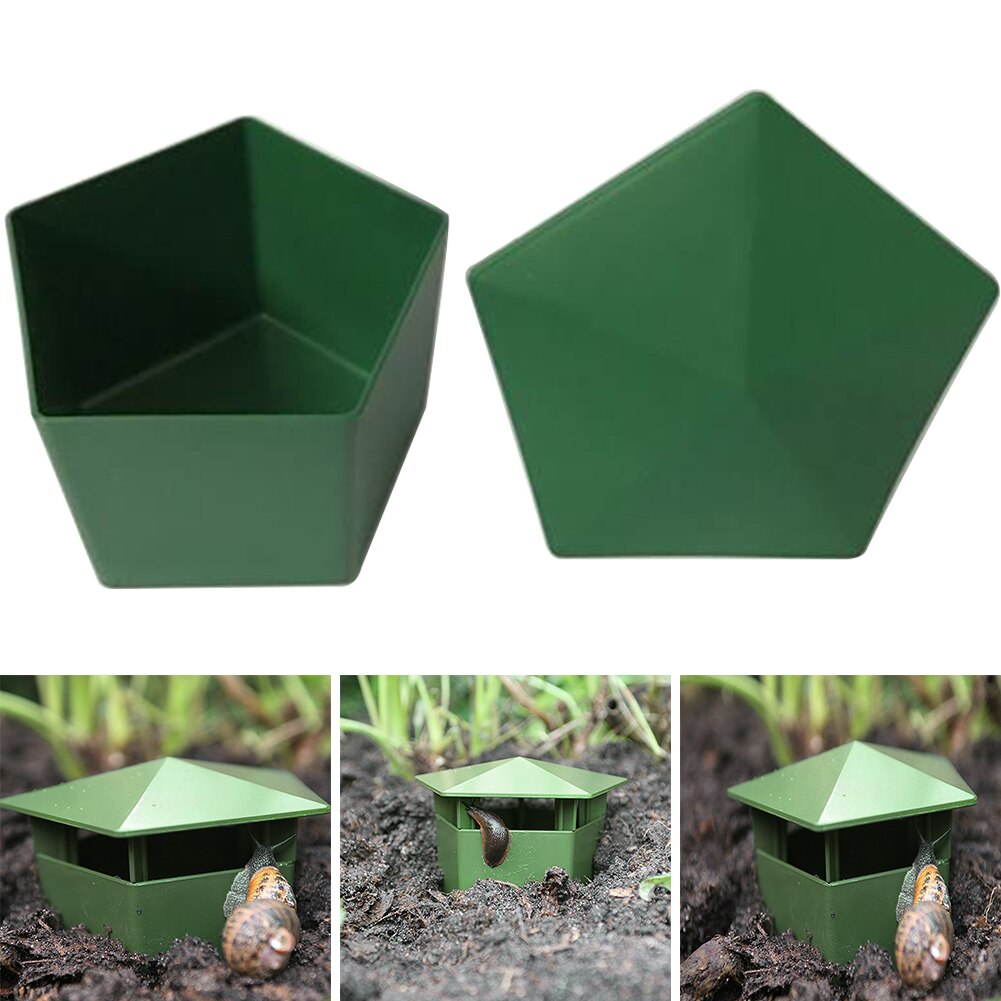 Box Snail Trap Slug Farm Protector Reptile Leech Eco-friendly House Clear Planarian Garden Tool Cage Plastic Catcher