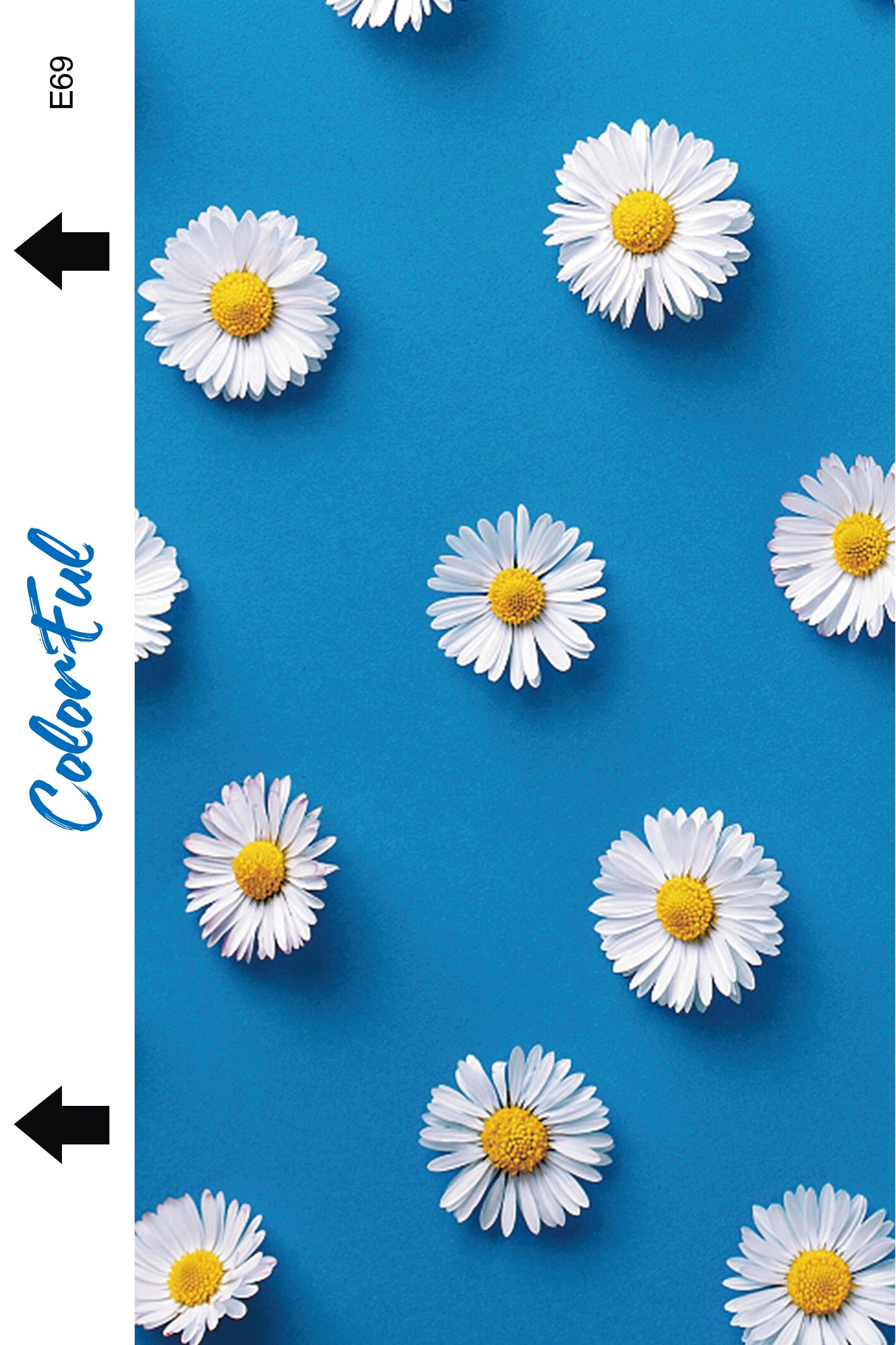 50pcs/Lot European Style Full Cover Back Screen Protector Back sticker Films for iPhone Samsung Huawei Smart Phones