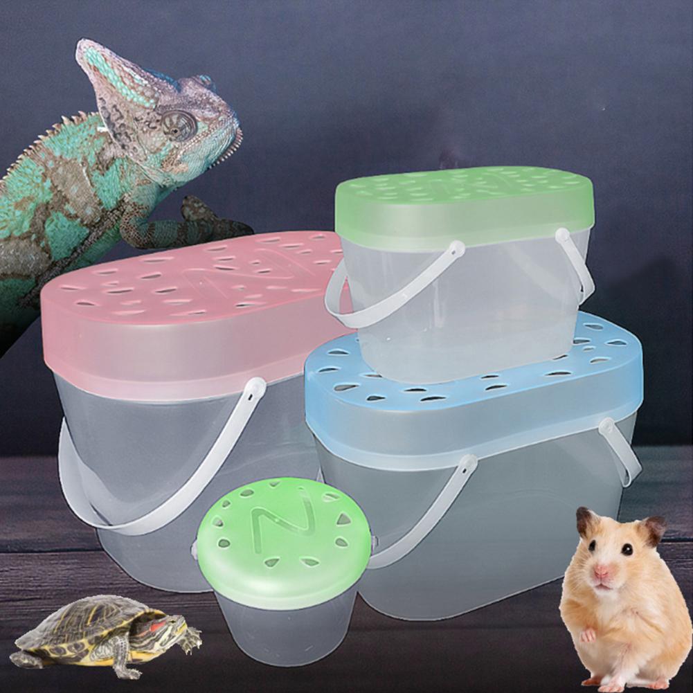 Eco-friendly Universal with Handle Fish Breeding Isolation Travel Box Aquarium Supplies Reptile Carrier Small Pet Crate