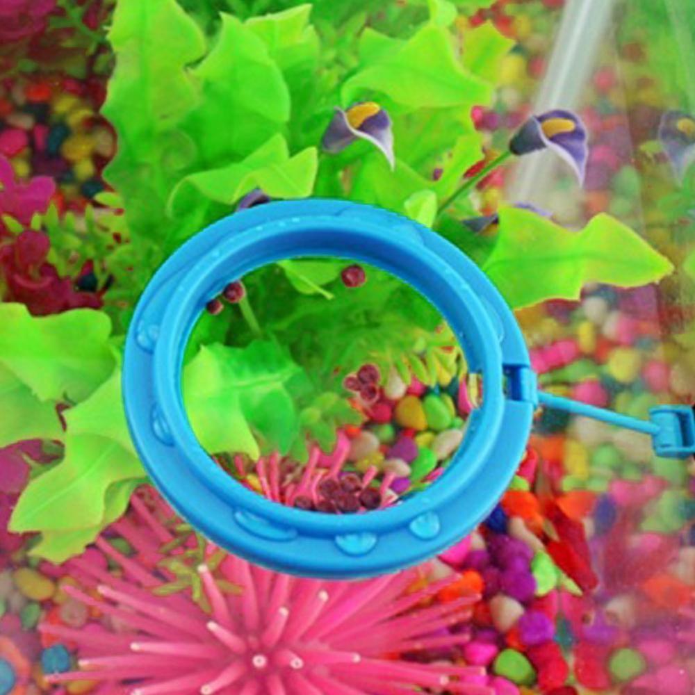 Fish Feeding Aquarium Fish Tank Ring Feeder Station Food Fish Supply Feeding Buoyancy Ring Floating Water Aquarium Plant Ci S9W5