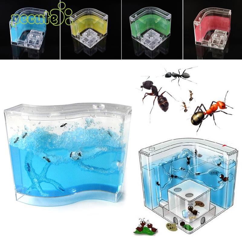 Mier Huis Plastic Container Kids Insecten Terrarium Kleine Huisdier Speelgoed Educatief