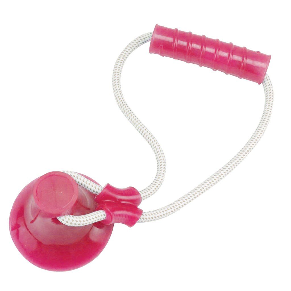 Bijten Huisdier Speelgoed Multifunctionele Huisdier Molaire Speelgoed Schoonmaken Tanden Met Zuignap Veilig Voor Hond Puppy #30