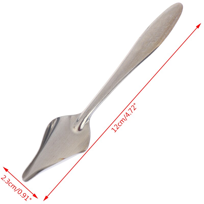 2pcs/set Bird Parrot Feeding Spoon Stainless Steel Water Milk Powder Feeder Spoons Bird Supplies
