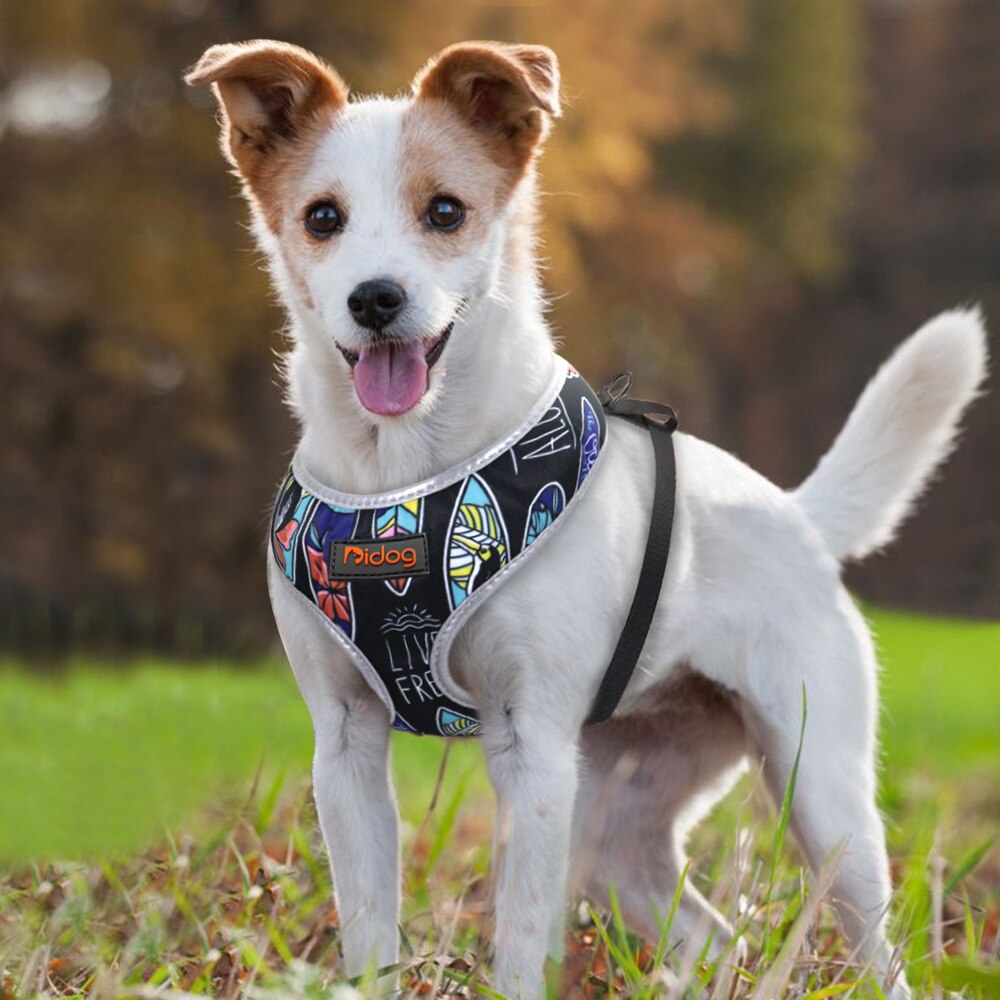 mesh hund kattesele trykte katter valpesele nylon seler til små mellomstore hunder chihuahua yorkshire bulldog