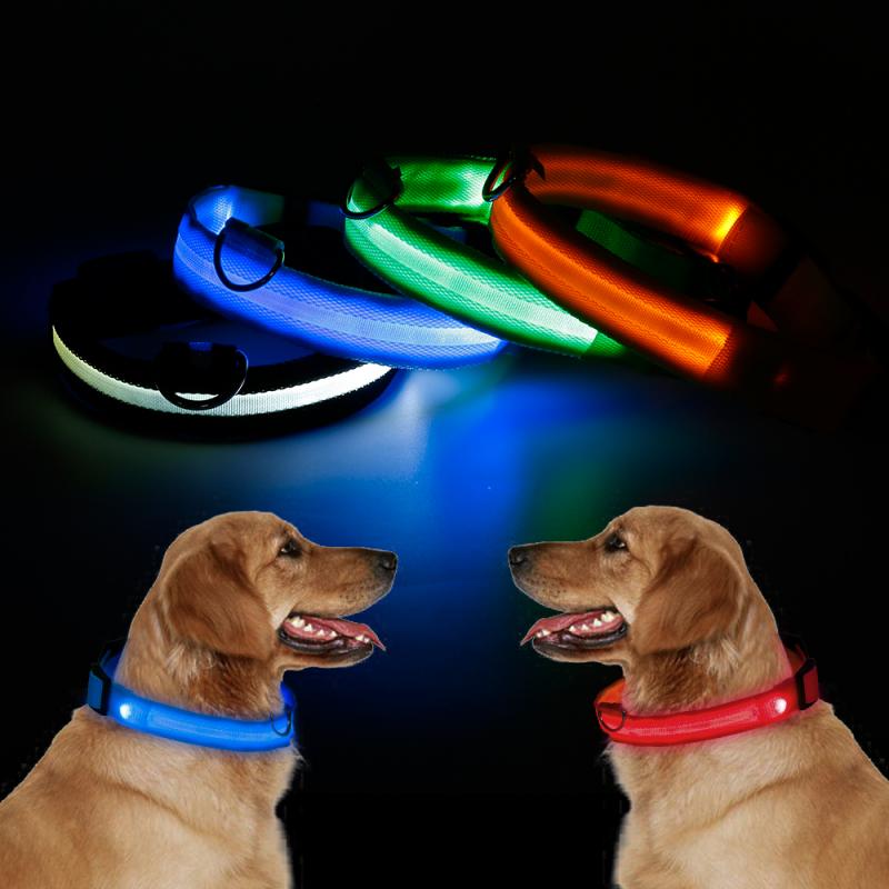 Collar LED de nailon para perro, correa de perro con luz luminosa y fluorescente, intermitente de seguridad nocturna, multicolor