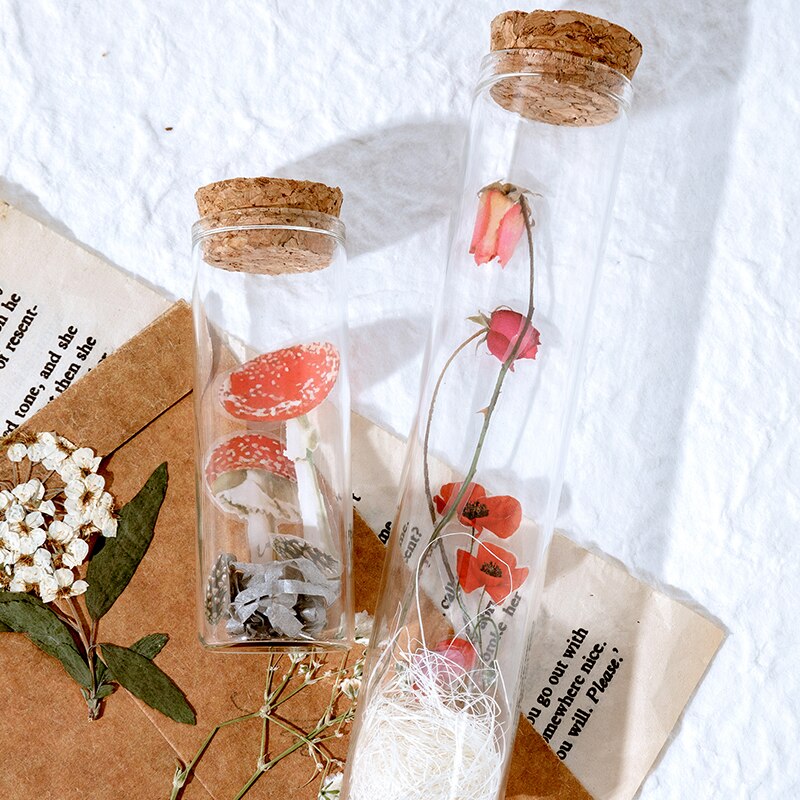 10cm*3m, botanical illustration diary paper tape PET transparent tape DIY scrapbook label label masking tape