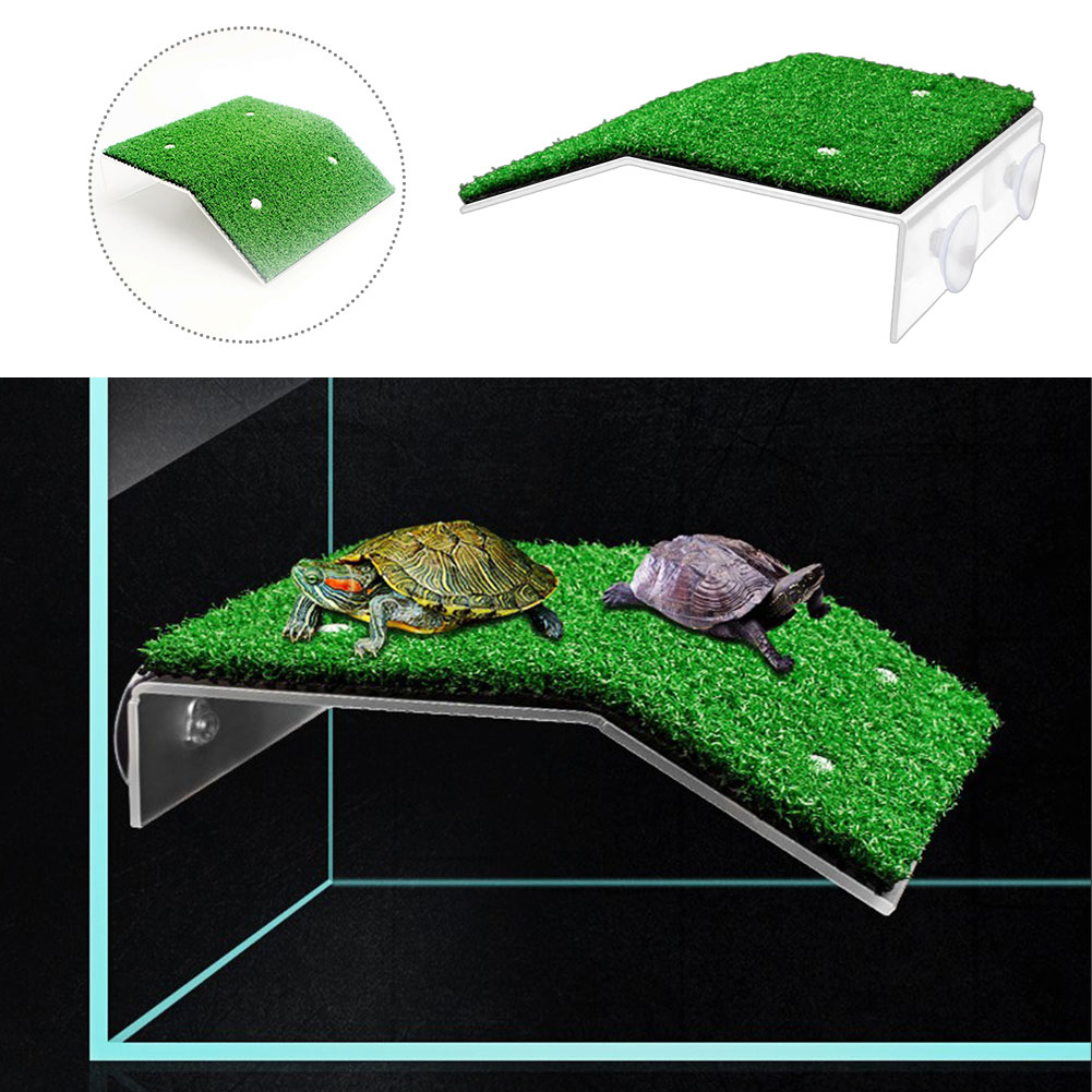 Float Decoratie Voor Kleine Reptiel Aquarium Schildpad Platform Zuignap Habitat Installeren Gesimuleerde Gazon Zware Drogen