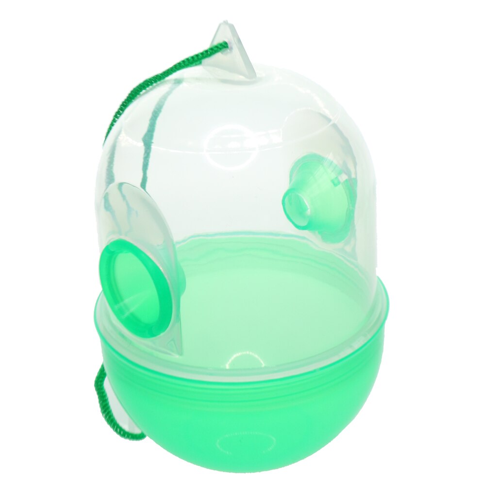 Yellow Jackets Trap Wasp Hornets And Bees Trap Natural Non-toxic Bee Catcher for Home & Garden Supplies