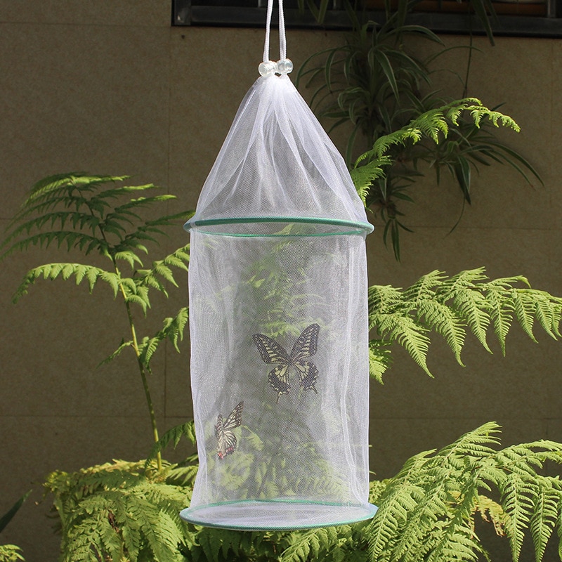 Insect Kooi Transparante Opknoping Natuur Observatie Geventileerde Vlinder Habitat Huis Fokken Tool