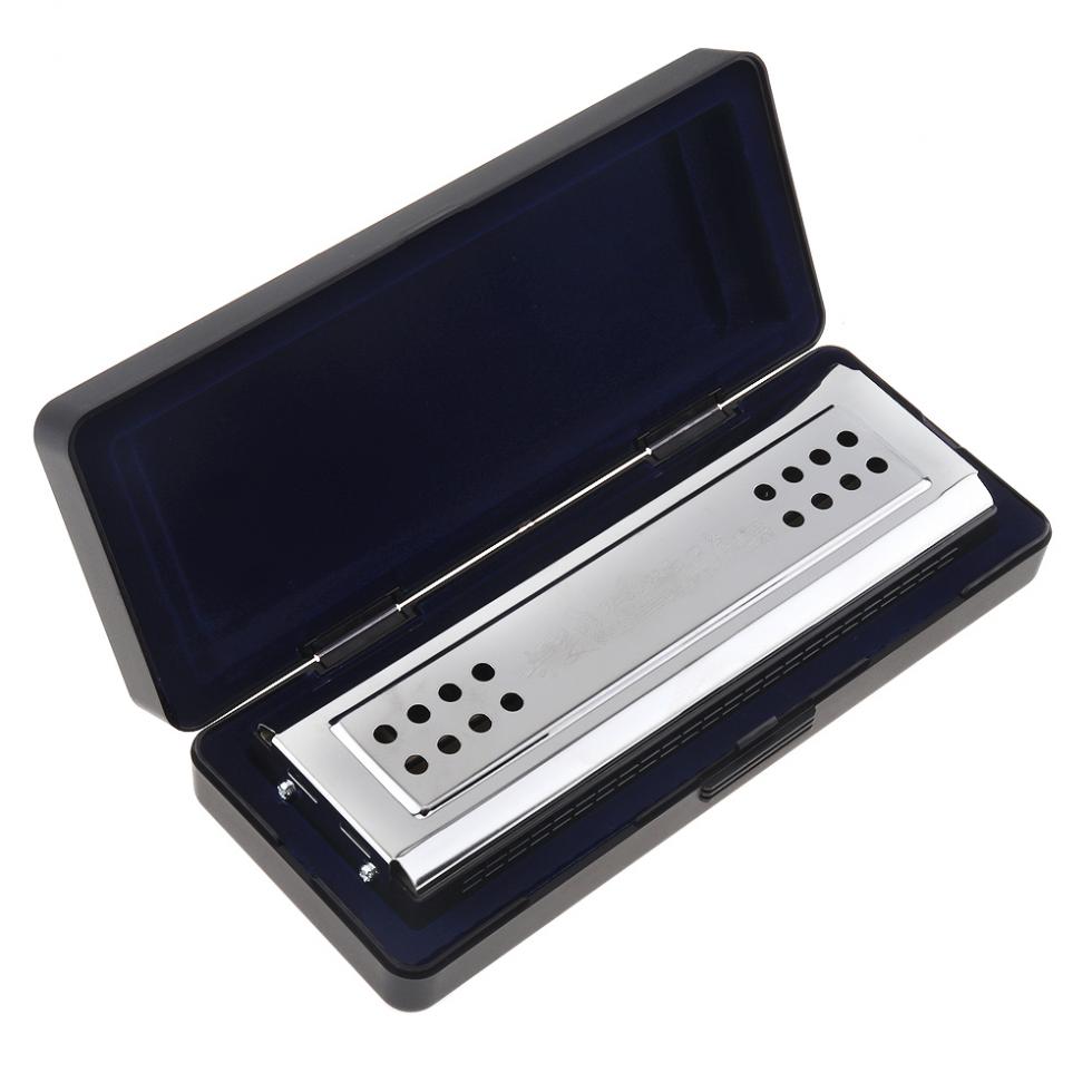 24 Holes Key Of C&G Silver Double Side Tremolo Harmonica for Adult Beginner & Children