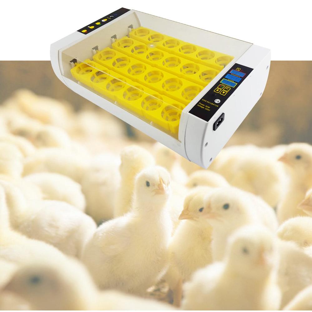 Automatische Incubator Broedmachine Boerderij Broederij Machine 24 Ei Kip Eend Gans Vogel Duif Kwartel Broedmachine Veeteelt