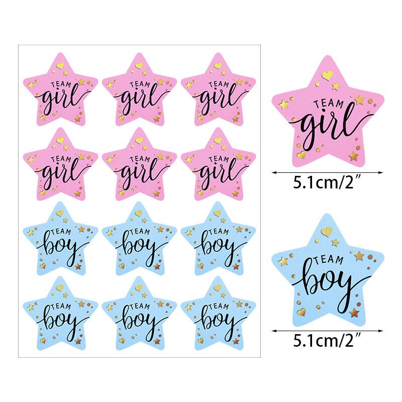 120pcs Team Boy Team Girl Stickers Boy or Girl Vote Sticker for Gender Reveal Party Decoration Baby Shower Packaging Seal Labels: Z03