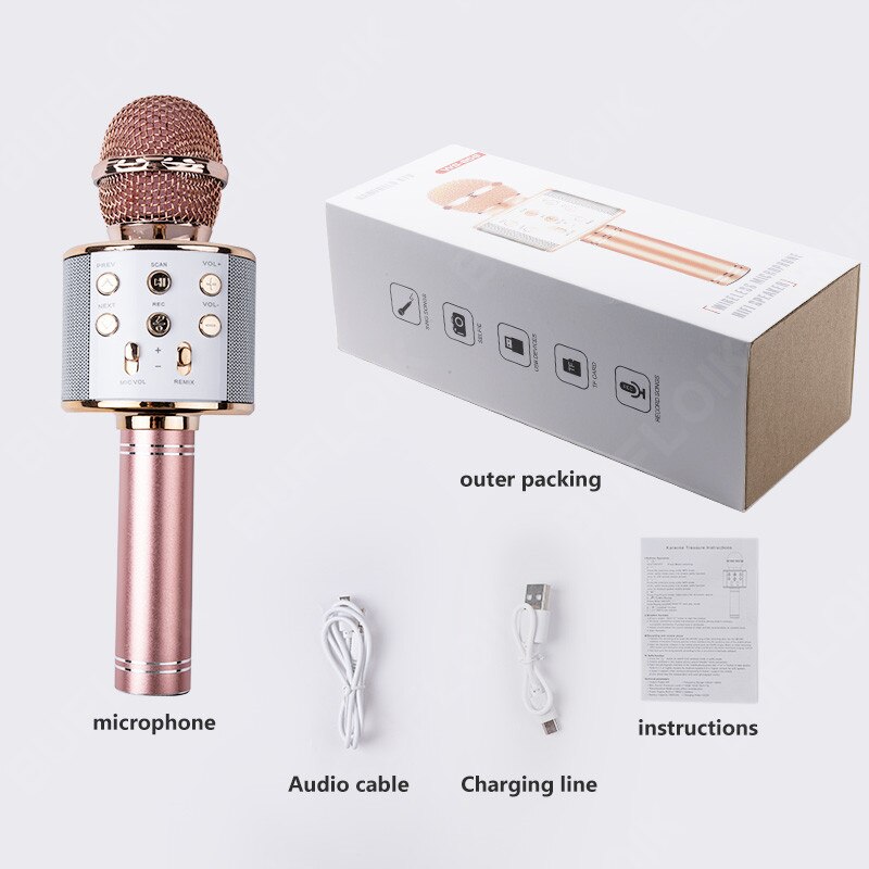 BUFLOIK microfono Wireless Bluetooth professionale microfono Karaoke portatile USB Mini Home KTV per lettore musicale registratore di canto Mic: Model 1