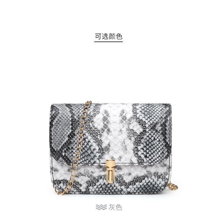2020 nuove Donne di Modo borse Borse Flap Crossbody Borse Catena Selvaggio Ragazze Del Serpente di Stampa Sacchetto del Messaggero Della Spalla: GRAY