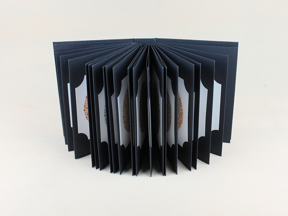 Ishihara Libro Tarjeta de prueba de deficiencia de color de ceguera de optometría de 38 placas